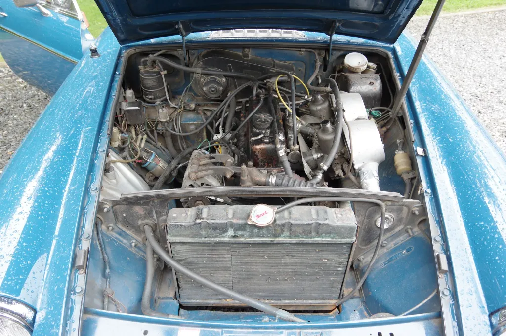 IMGP7536.webp