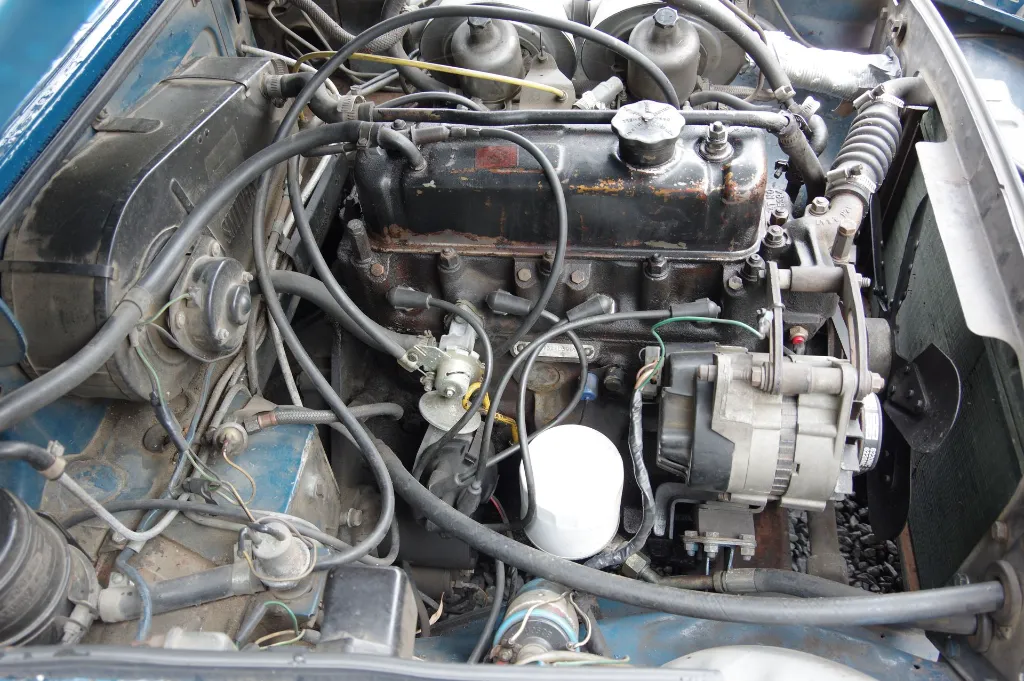 IMGP7541.webp