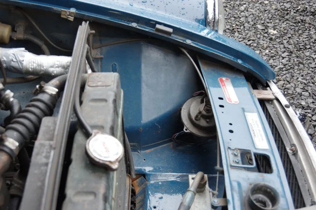 IMGP7544.webp