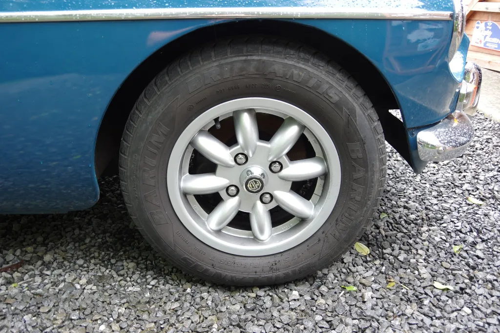 IMGP7523.webp