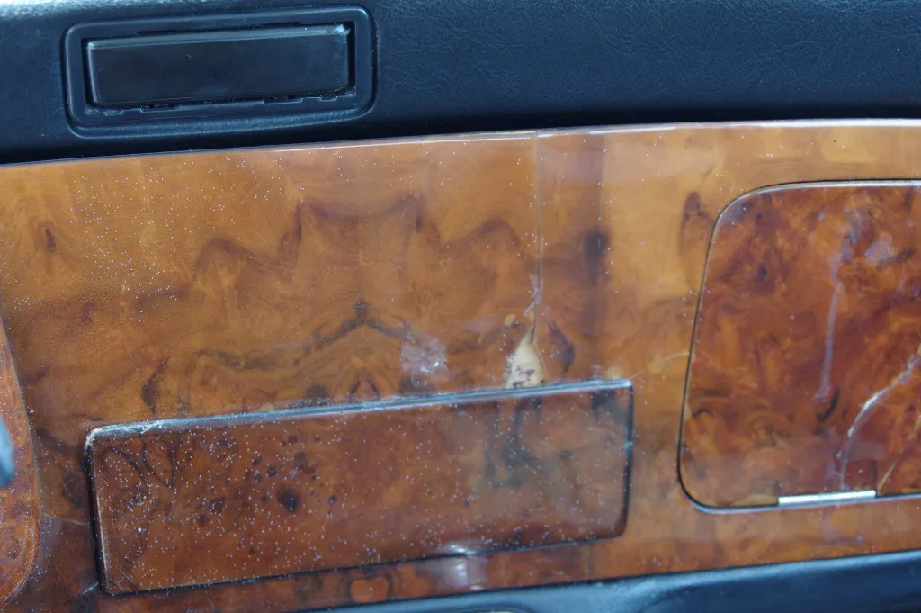 IMGP7599.webp