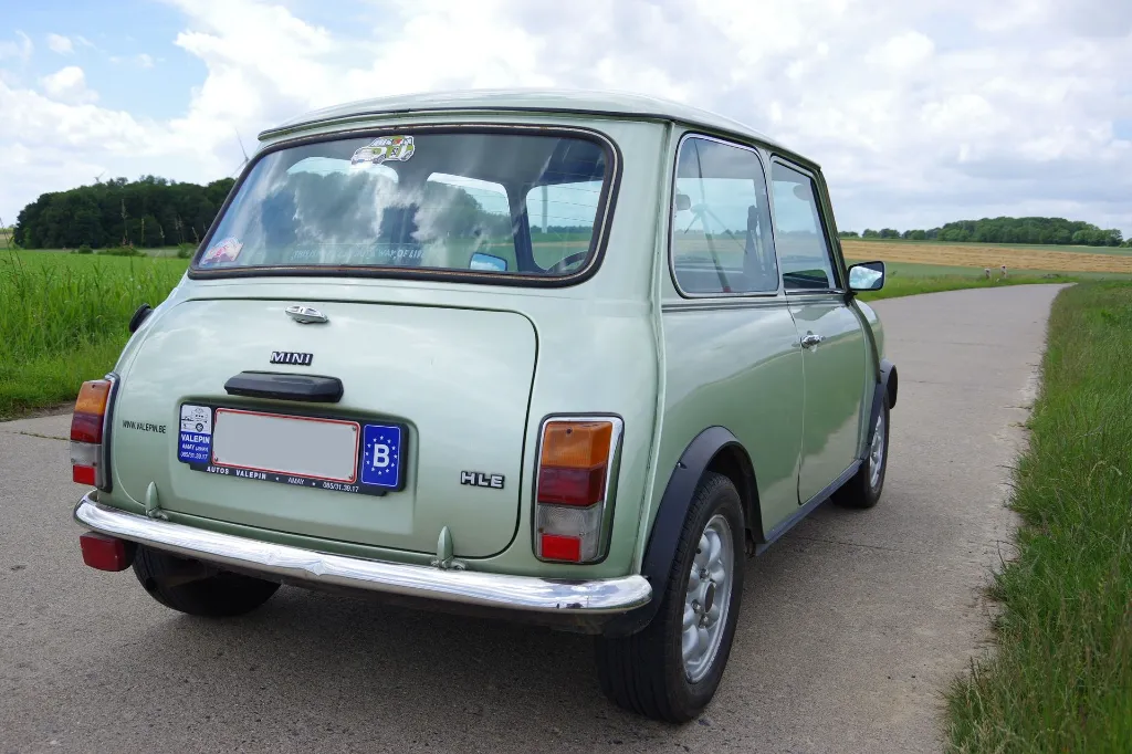 IMGP7566.webp