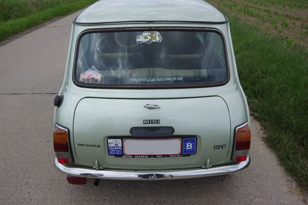 IMGP7586.webp