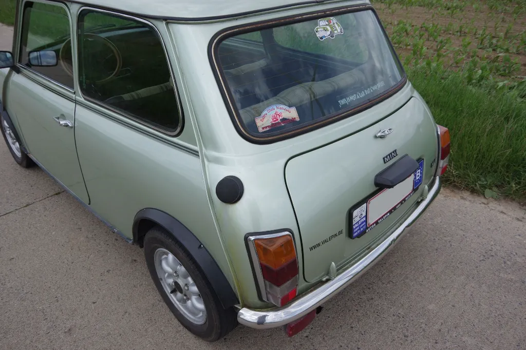 IMGP7584.webp