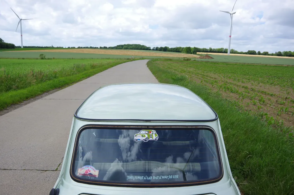IMGP7567.webp