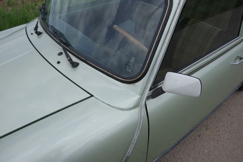 IMGP7582.webp