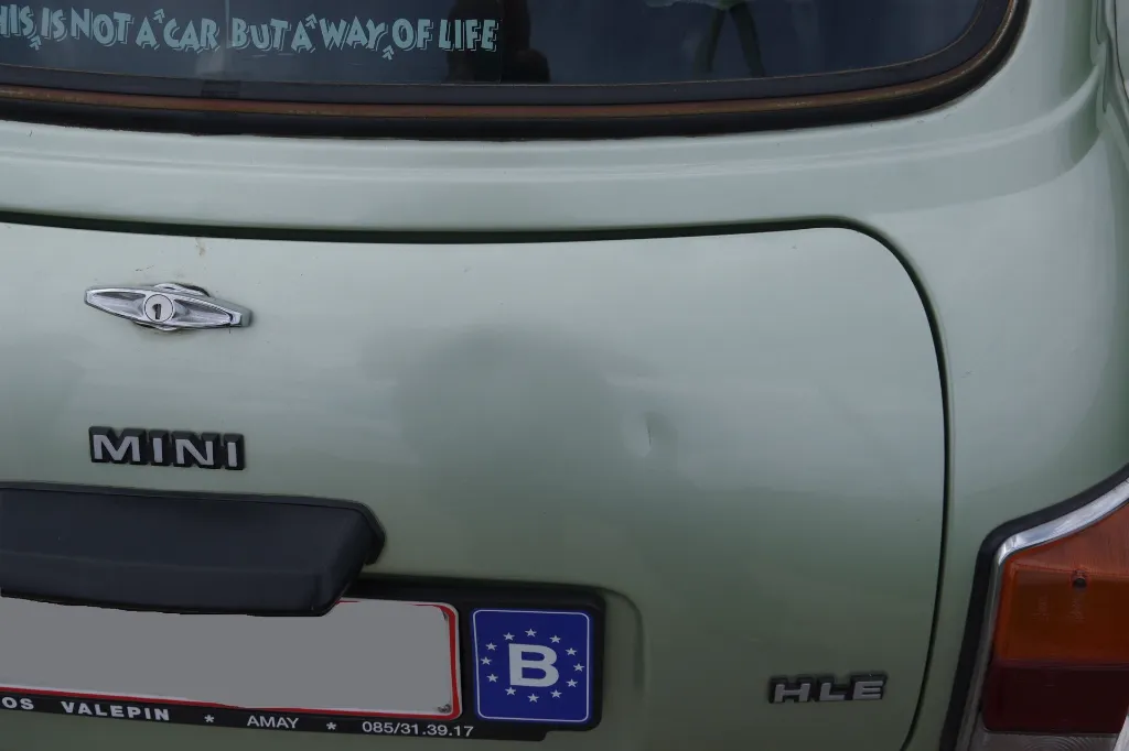 IMGP7587.webp