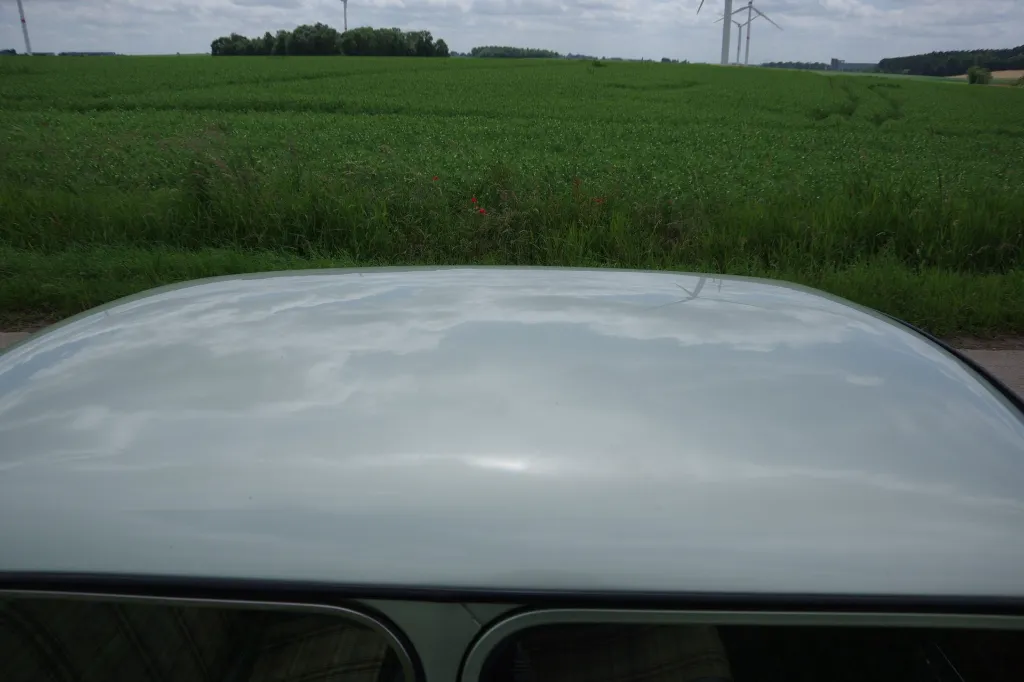 IMGP7590.webp
