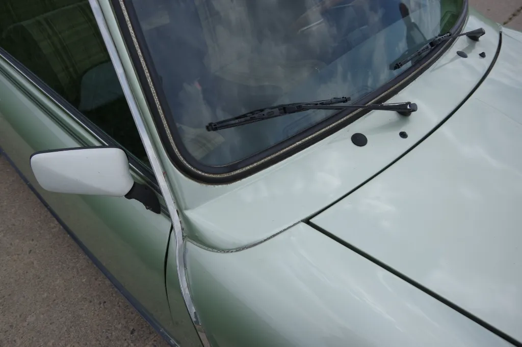 IMGP7581.webp