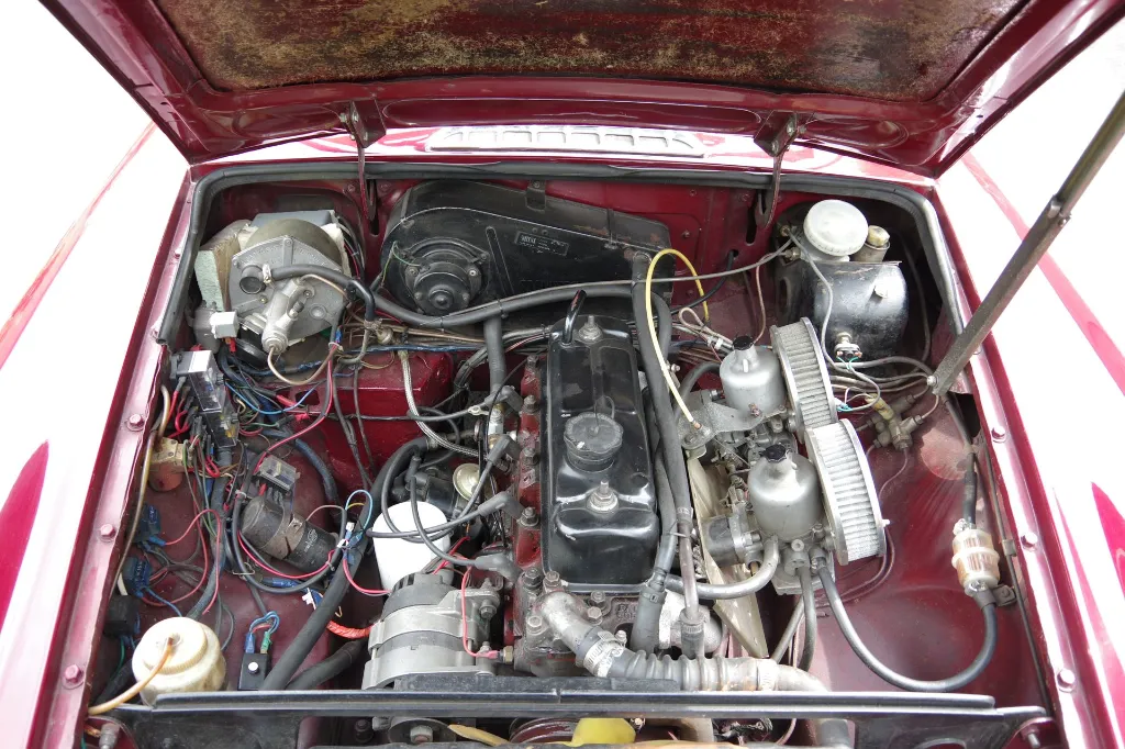 IMGP7660.webp