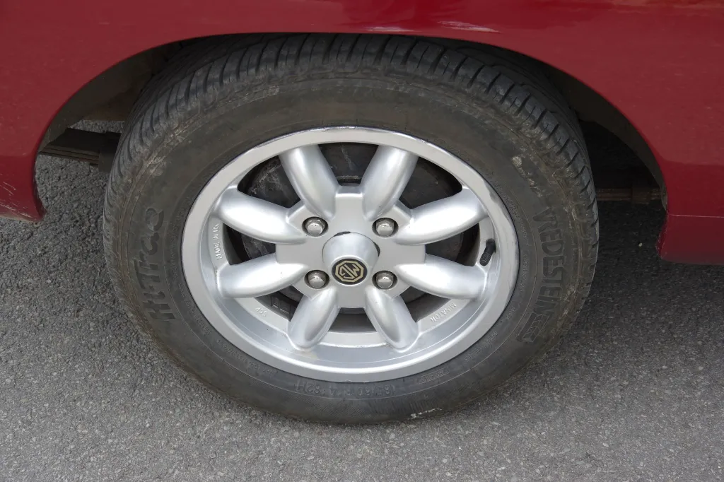 IMGP7653.webp