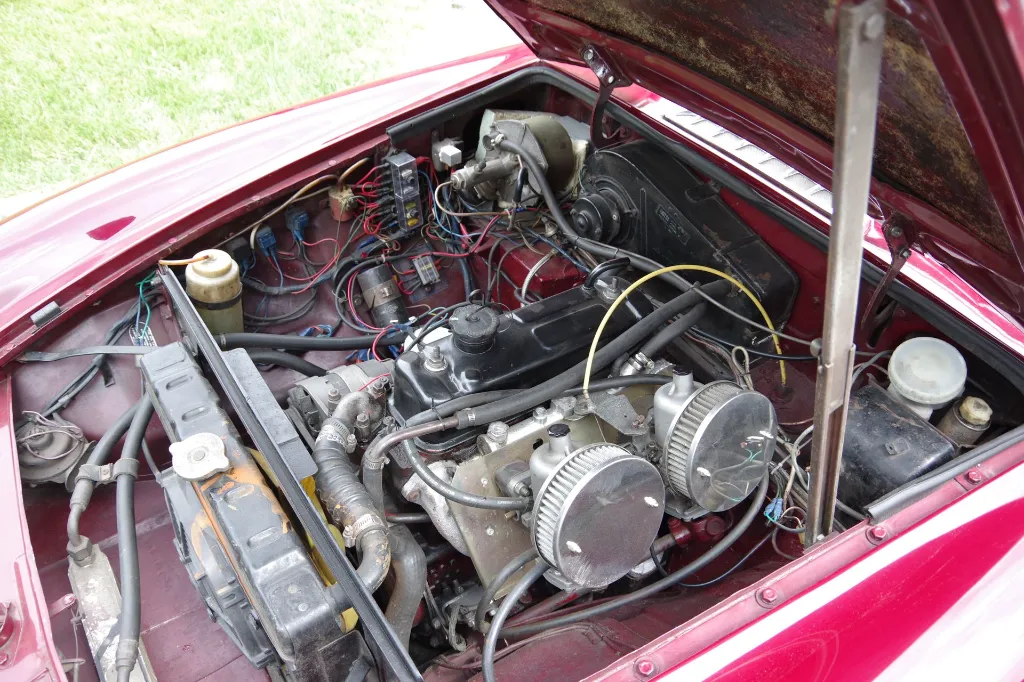 IMGP7662.webp