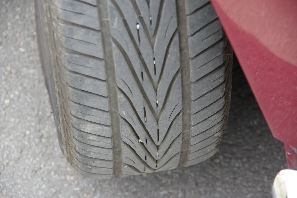 IMGP7655.webp