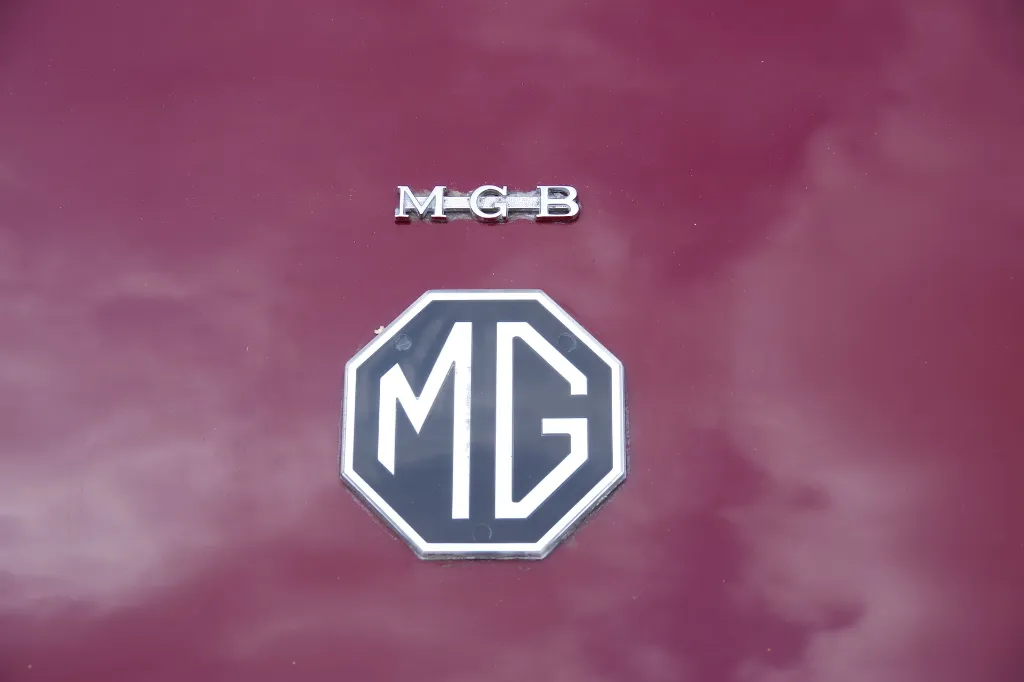 IMGP7628.webp