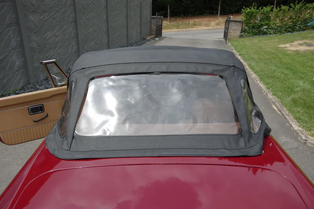 IMGP7651.webp