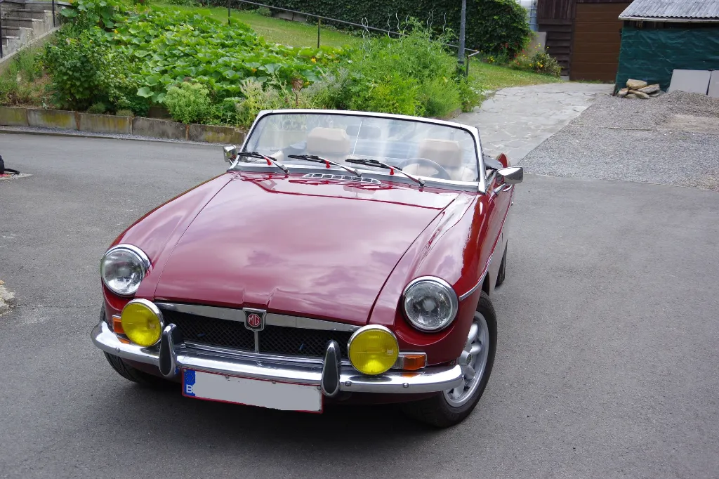 IMGP7618.webp