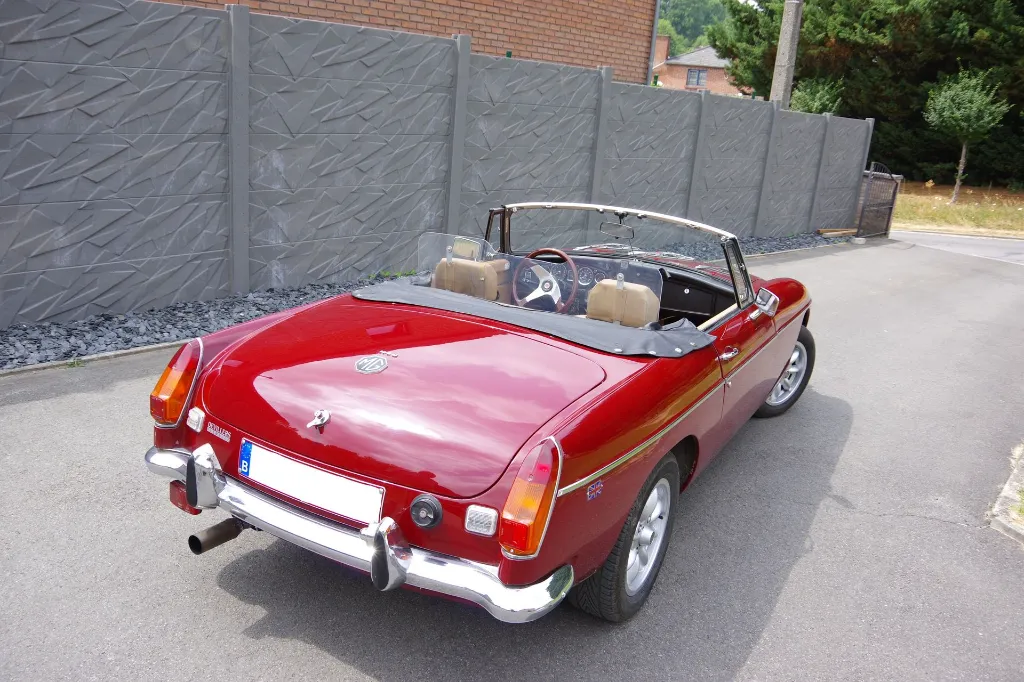 IMGP7634.webp