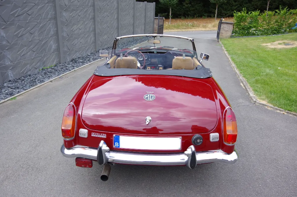 IMGP7629.webp