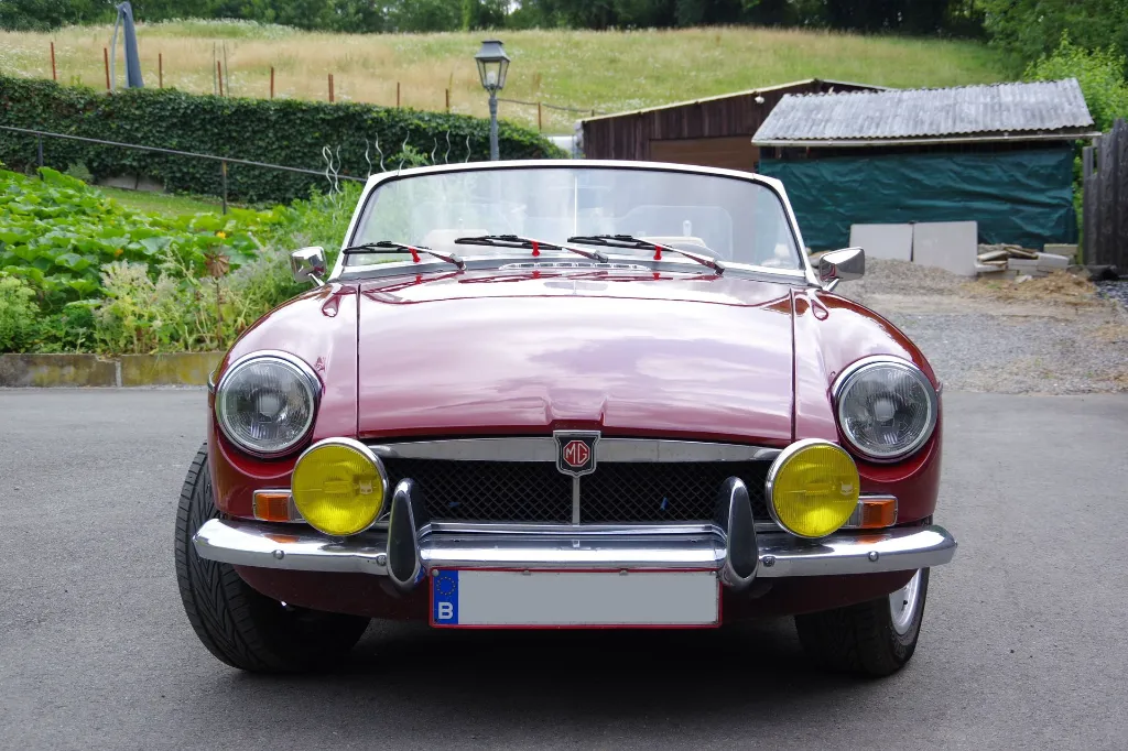 IMGP7620.webp