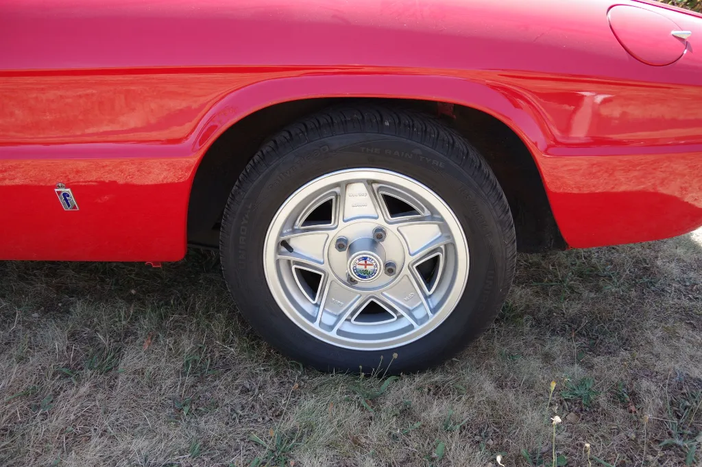 IMGP7733.webp