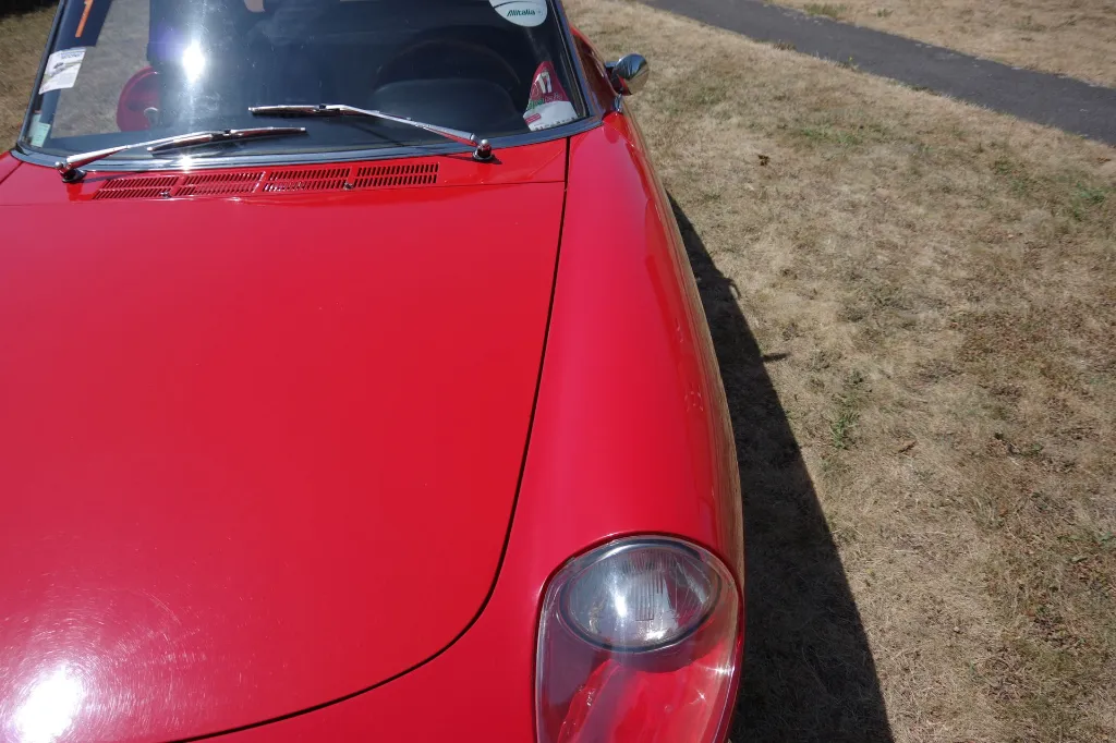 IMGP7740.webp