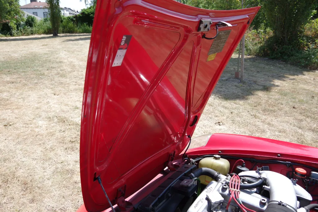 IMGP7785.webp