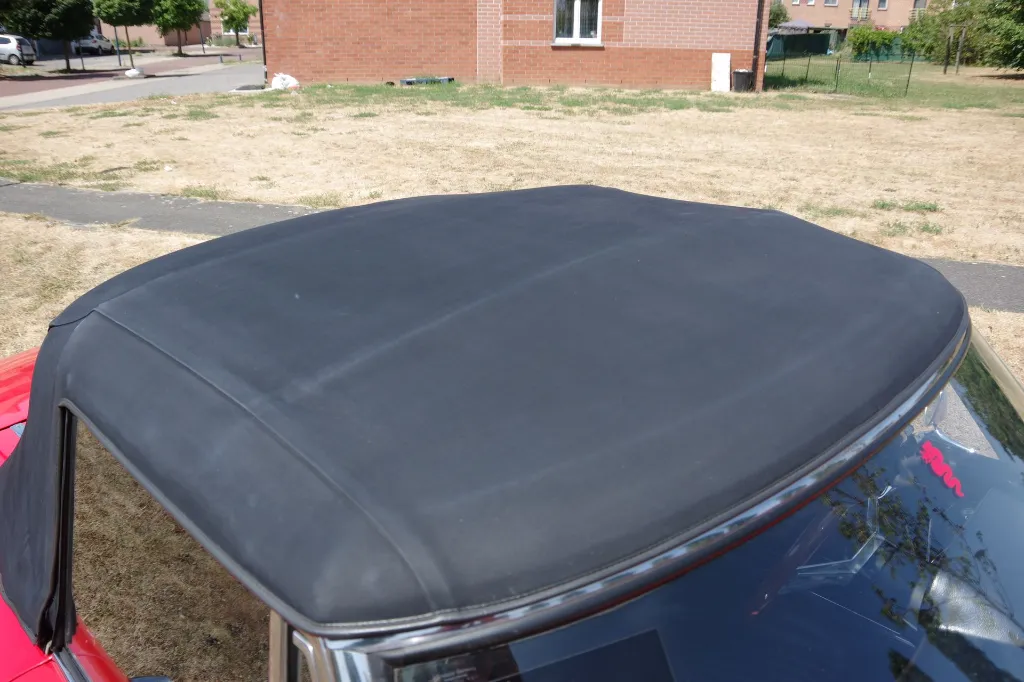 IMGP7720.webp