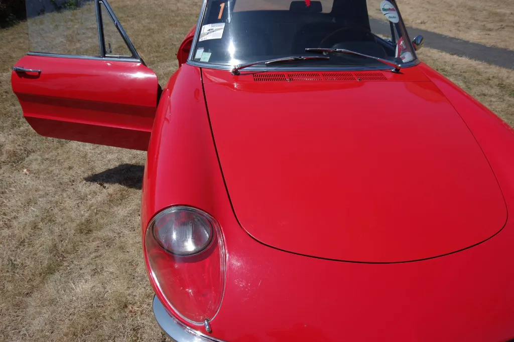 IMGP7739.webp