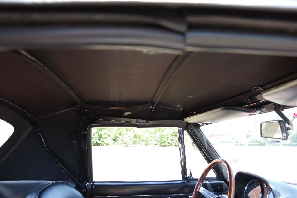 IMGP7750.webp