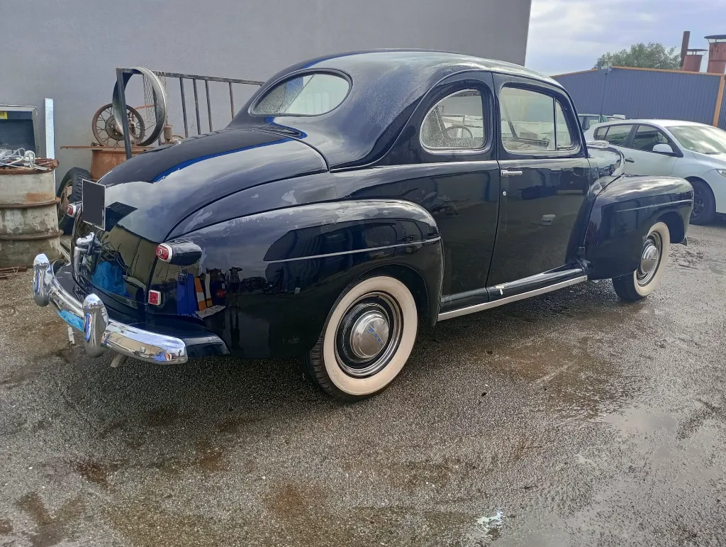 WhatsApp Image 2025-08-31 at 12.46.45.webp