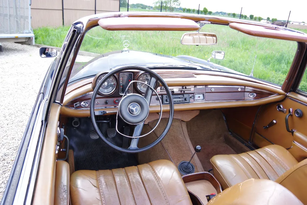 IMGP7510.webp