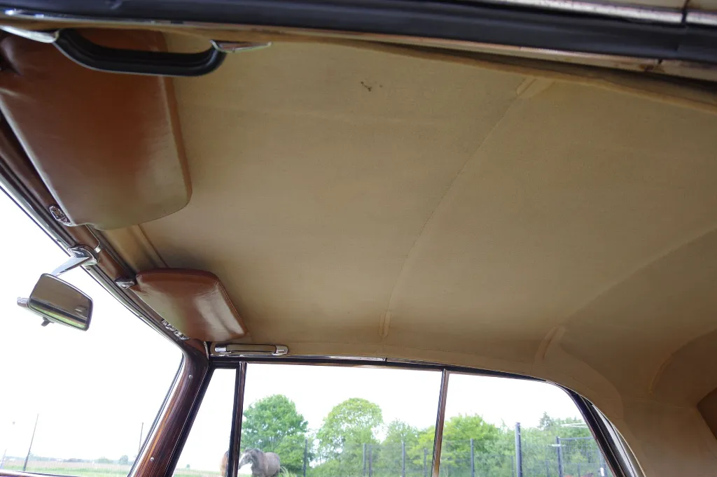 IMGP7494.webp